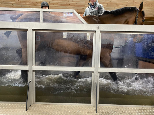 Water Treadmill Demonstration