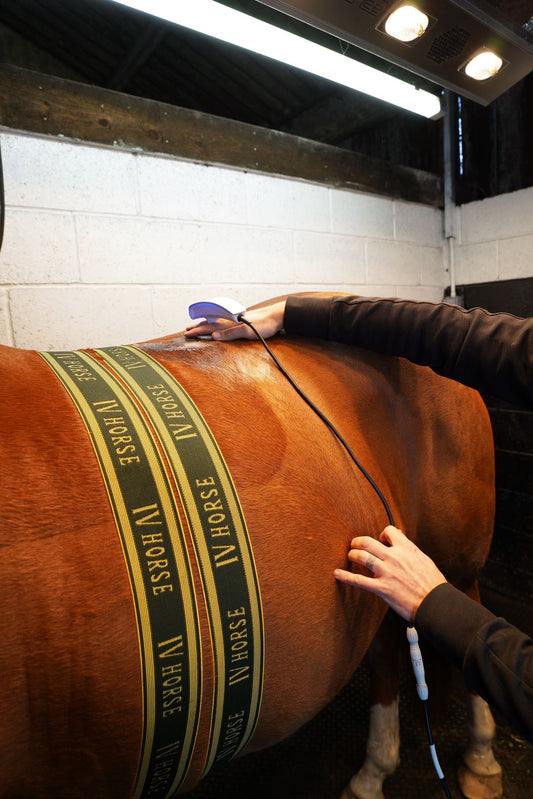 TECAR Therapy for Horses: The Cutting-Edge Treatment Revolutionising Equine Recovery