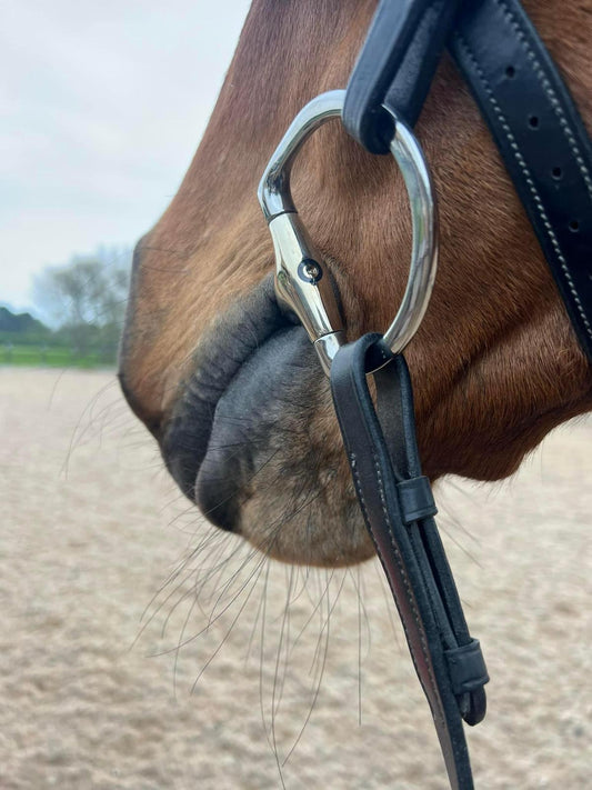 50% OFF Treatments when booked with a Bit & Bridle Fitting Service