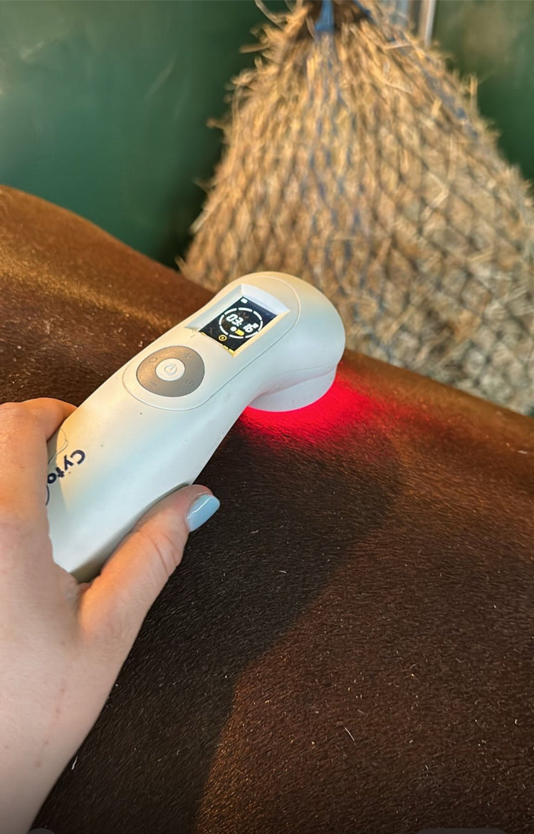 Therapy Product to Rent and Buy
