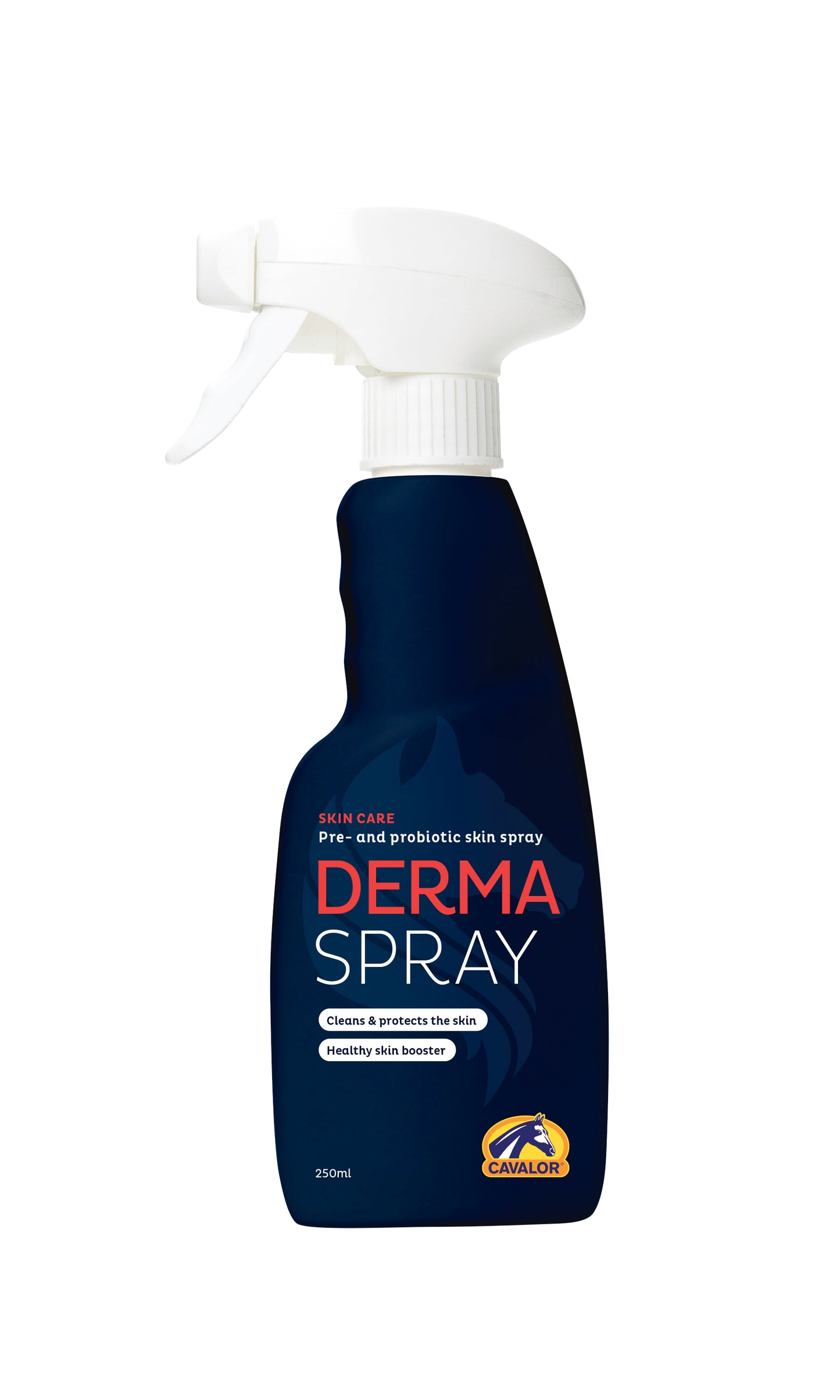 DERMA SPRAY