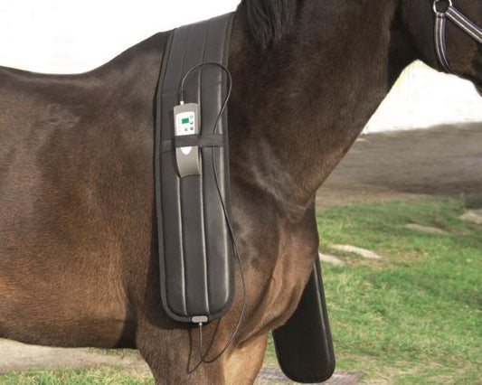 Oxford Medical PEMF Equine Shoulder Wrap