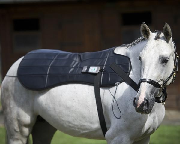 Oxford Medical PEMF Blanket for Back and Sacroiliac