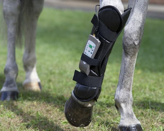 Oxford Medical PEMF Equine Front Leg Wrap
