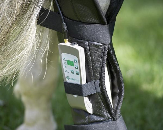 Oxford Medical PEMF Equine Hind Leg Wrap