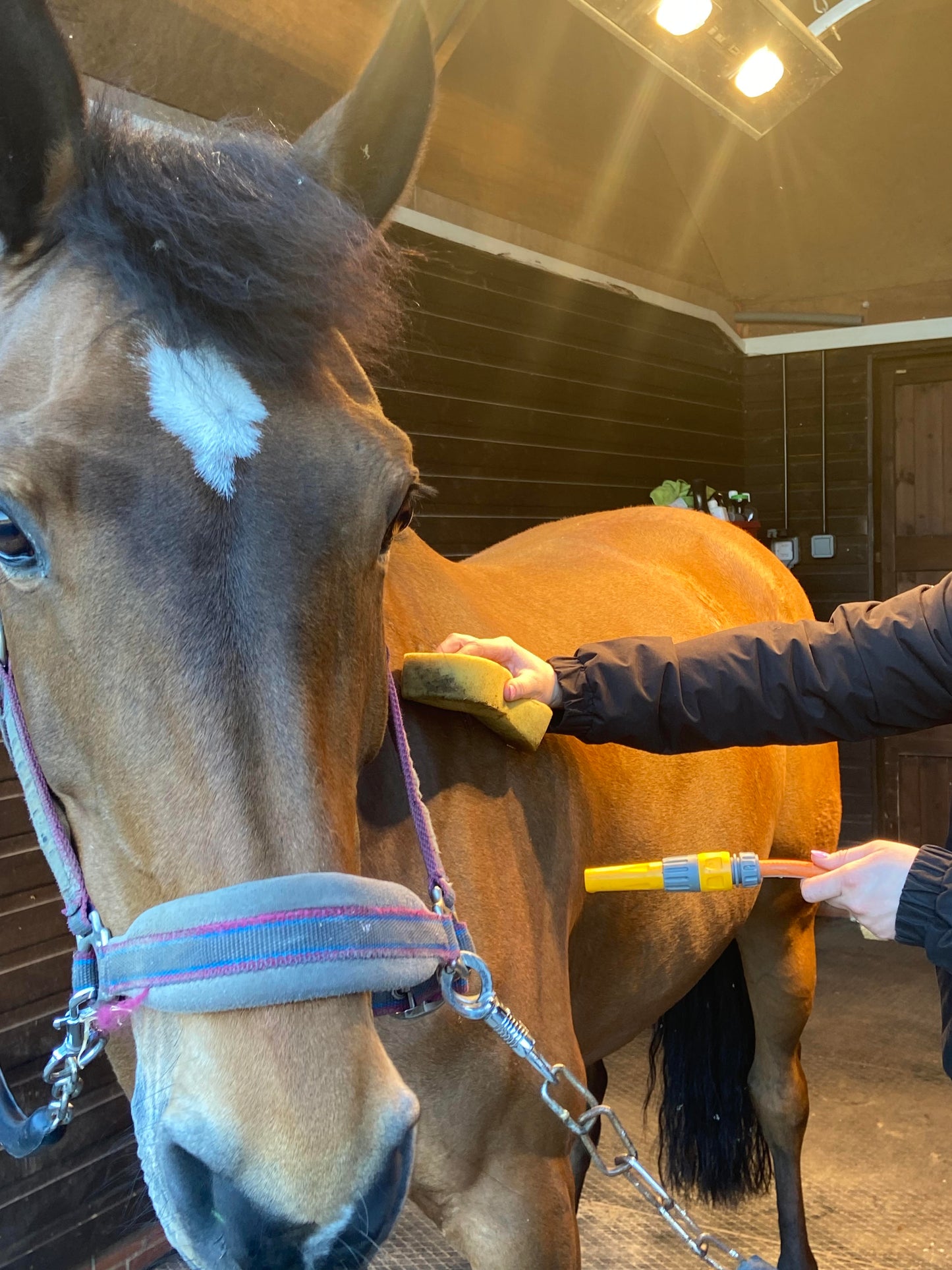 Hot Wash, Shampoo & Solarium (Self Serve)