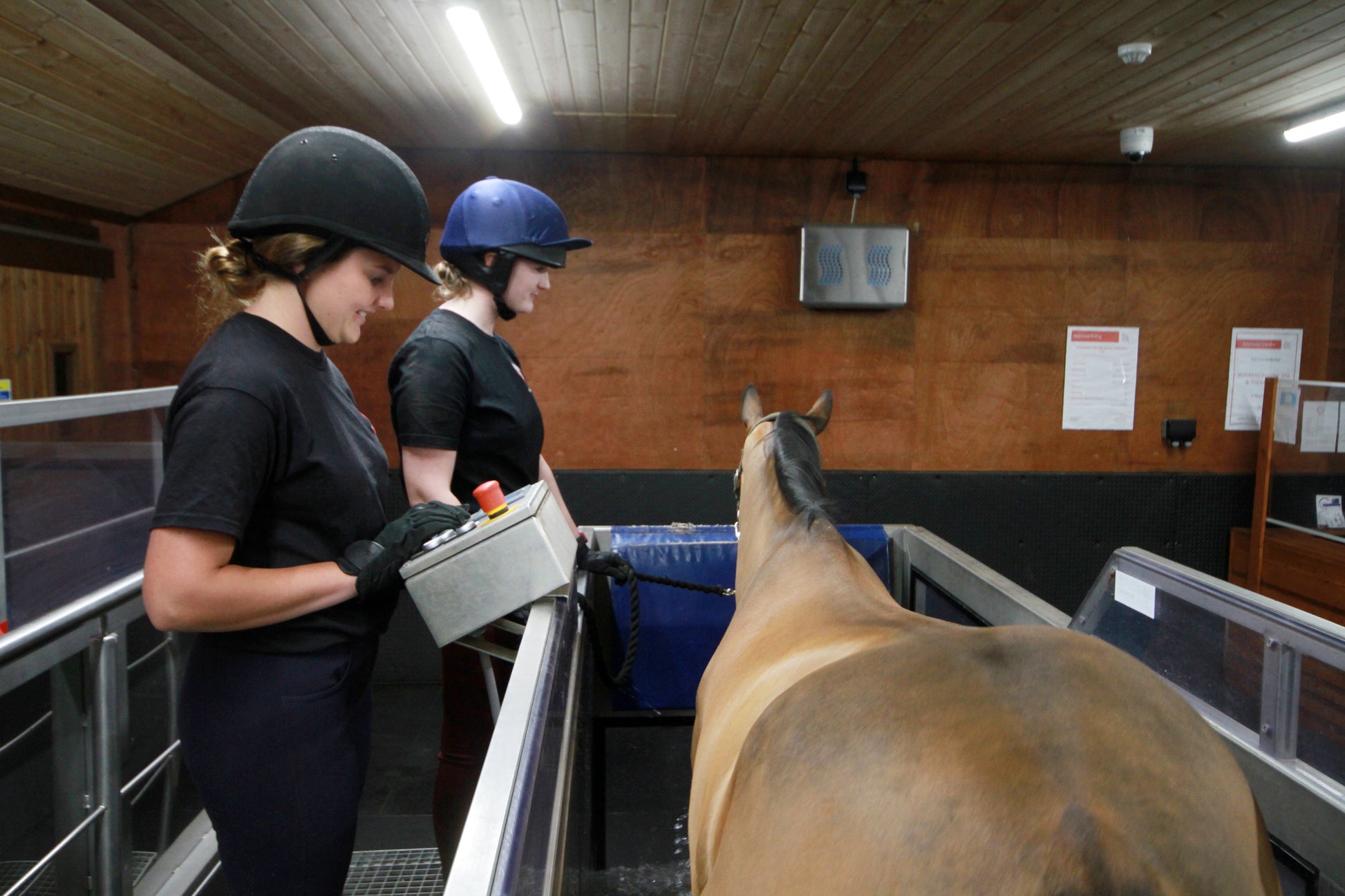 Water Treadmill with an Incline function. - Perfect for rehabilitation and fitness - Helps build muscle - Increases suppleness - Increases stride length - Improves topline - Strengthens weakness in young horses - Non - concussive - Incline option availabl