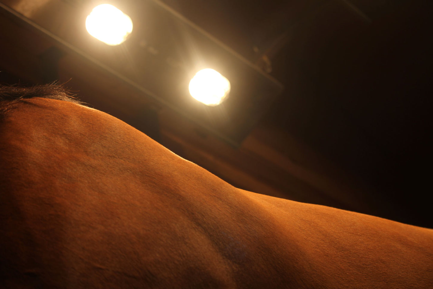 Solarium - Using infra-red therapy to provide a pleasant warming effect that can help improve circulation and help to relax tense muscles. Following exercise the therapy can be used to help break down lactic acid that causes muscles to tighten and pull. - Improves blood circulation - Aids muscle suppleness - Reduces risk on injury - Promotes relaxation - Reduces pain