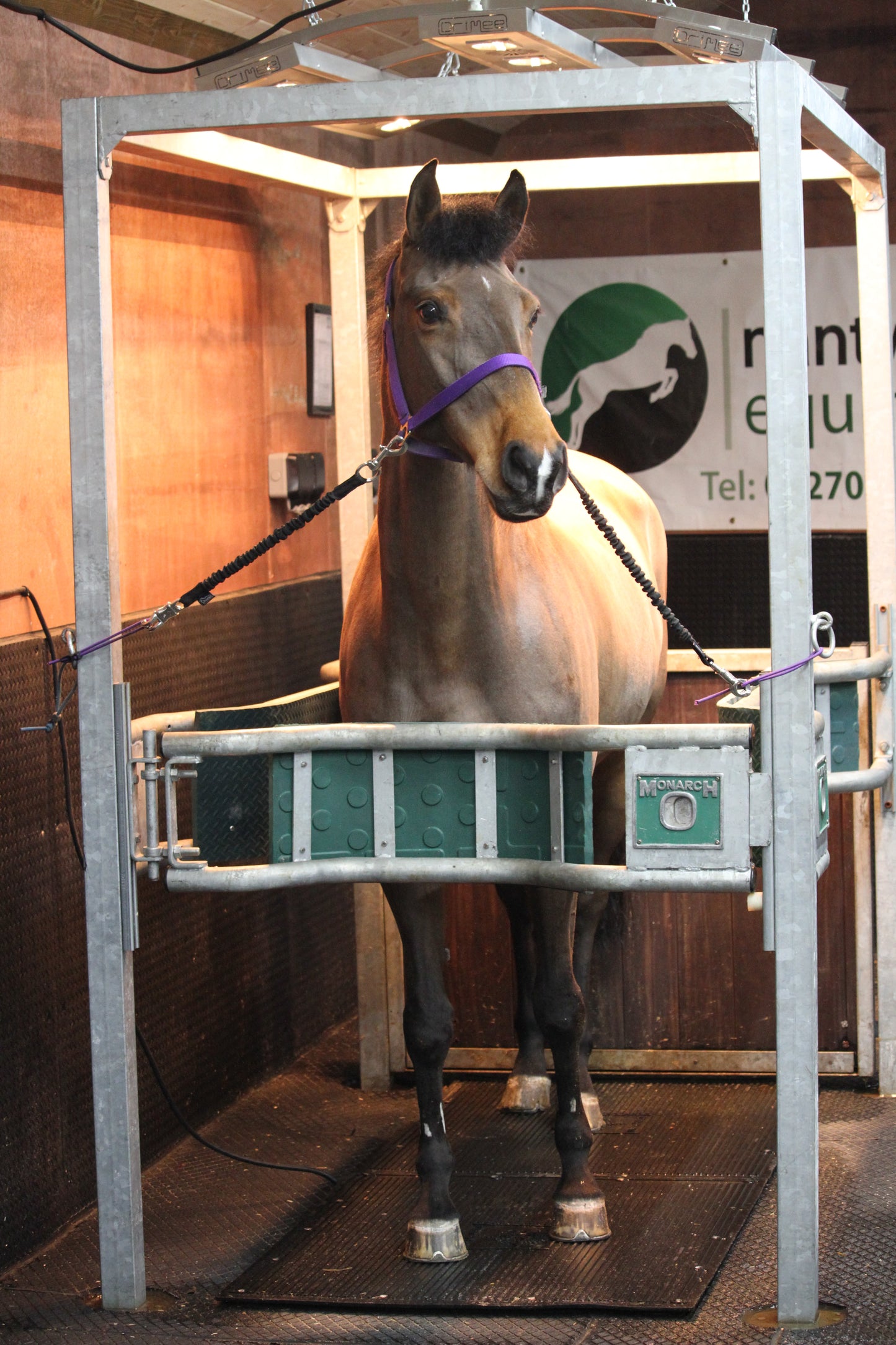 Combi Floor Vibration and PEMF Therapy Combines PEMF and/or vibration - Soft tissue injuries - Bone and hoof problems - Improves circulation - Aids recovery - Speeds up rehabilitative processes - Develops muscle tone
