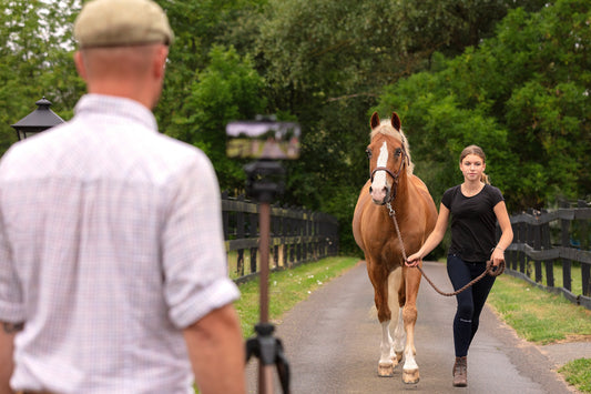 Smarter Movement Analysis with Sleip: How AI Is Helping Us Support Your Horse