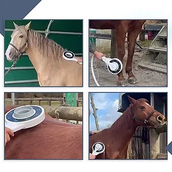PMST & NIRS 2 IN 1 THERAPY - ROOKERY EQUINE LTD