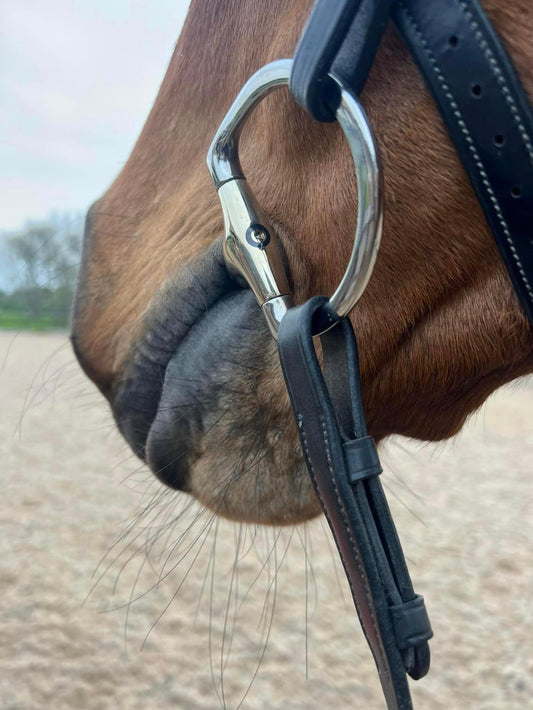 BIT & BRIDLE FIT CHECK - ROOKERY EQUINE BIT & BRIDLE FITTING