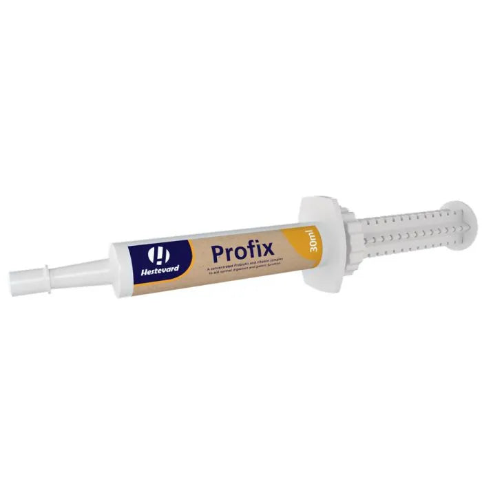 HESTEVARD PROFIX PASTE SYRINGE - (PROBIOTIC GUT HEALTH)