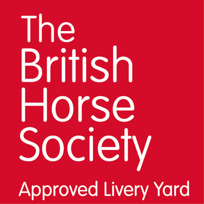 Approved and accredited by the BHS, Accredited Professionals meet the highest standards within the industry. Connecting people, ideas and resources to drive continual professional development and and promote innovation in equestrianism