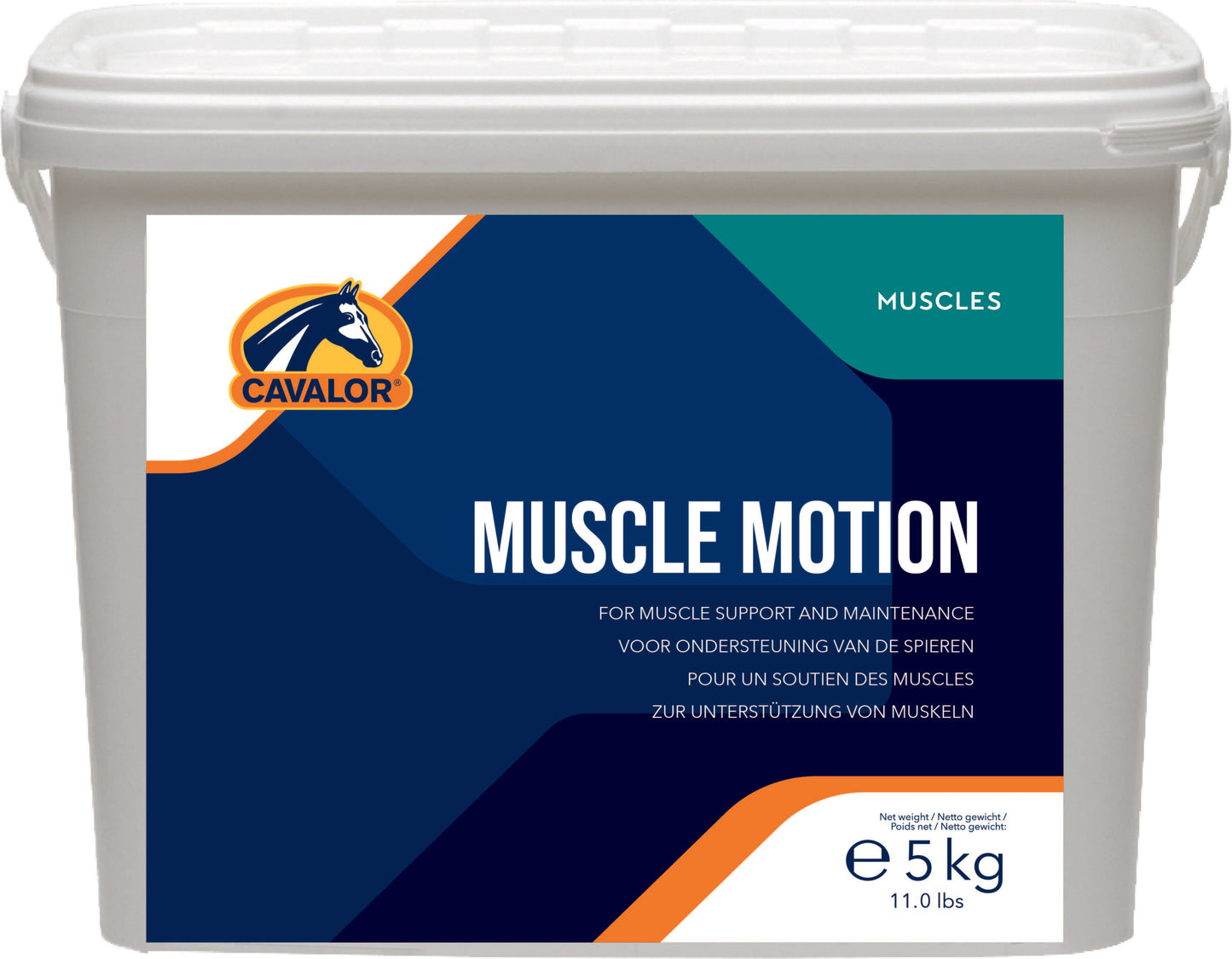 MUSCLE MOTION 