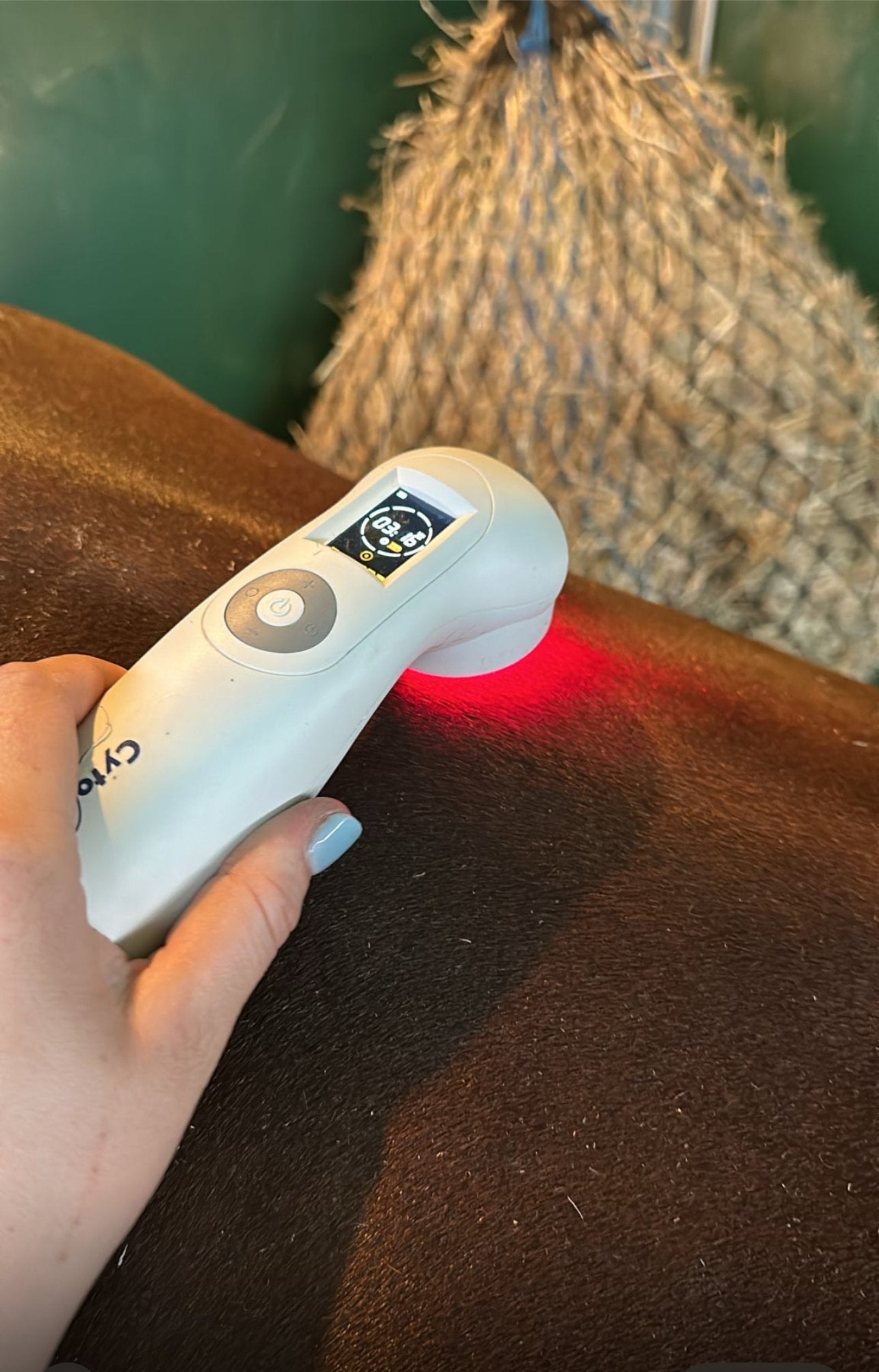 Handheld Cold Laser Therapy Device - 808nm & 650nm + 3 LED Colors For Pain Relief (LLLT), 1 Year Warranty