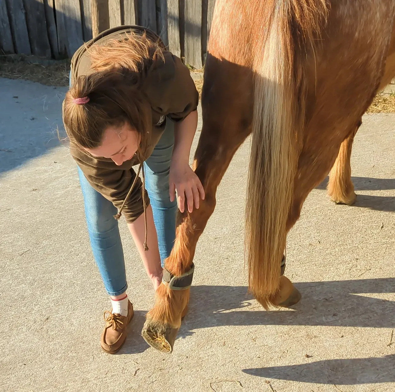 Equine Rehabilitation Programs – Tailored Support from Start to Soundness