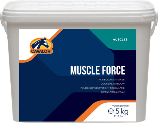 MUSCLE FORCE 