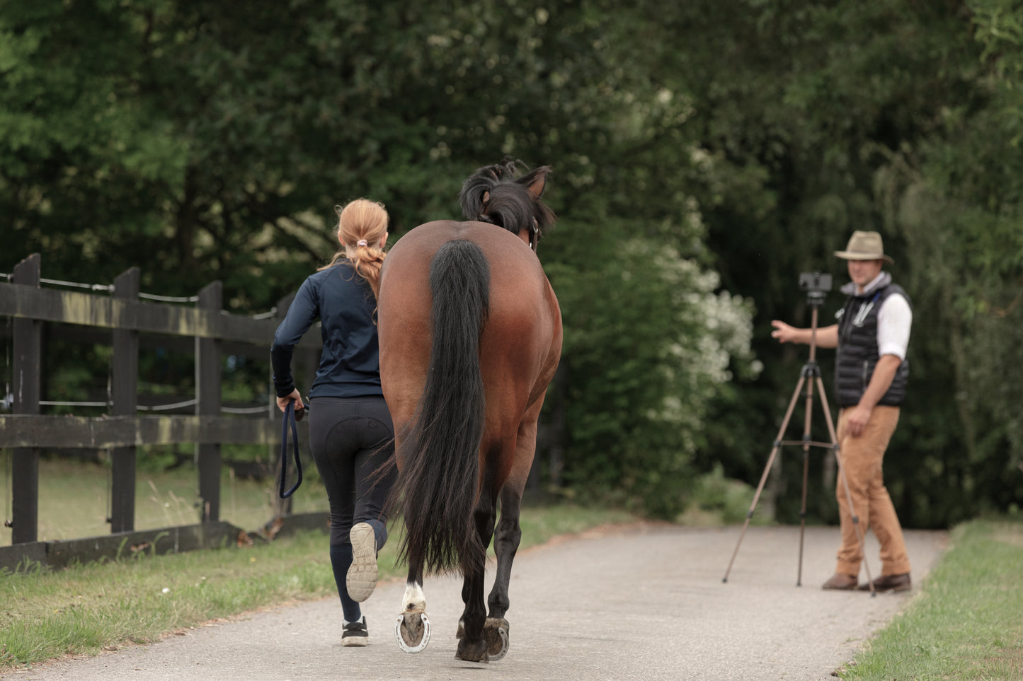 Gait Analysis and Monitoring