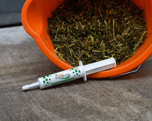 White syringe with green label on a wooden surface next to an orange container filled with dried grass.