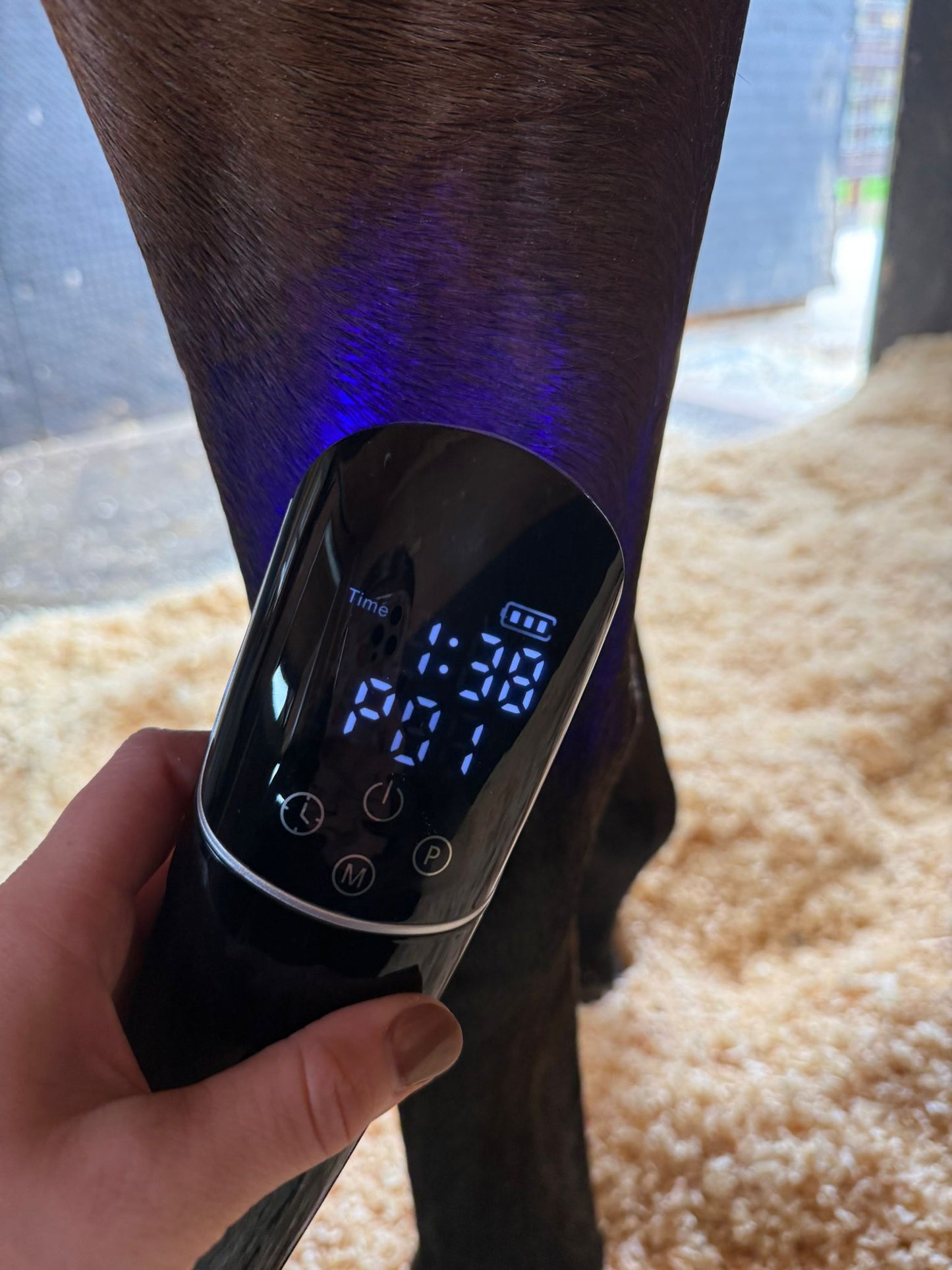 LED Light Blue, Red and Near Infared Light Therapy Device