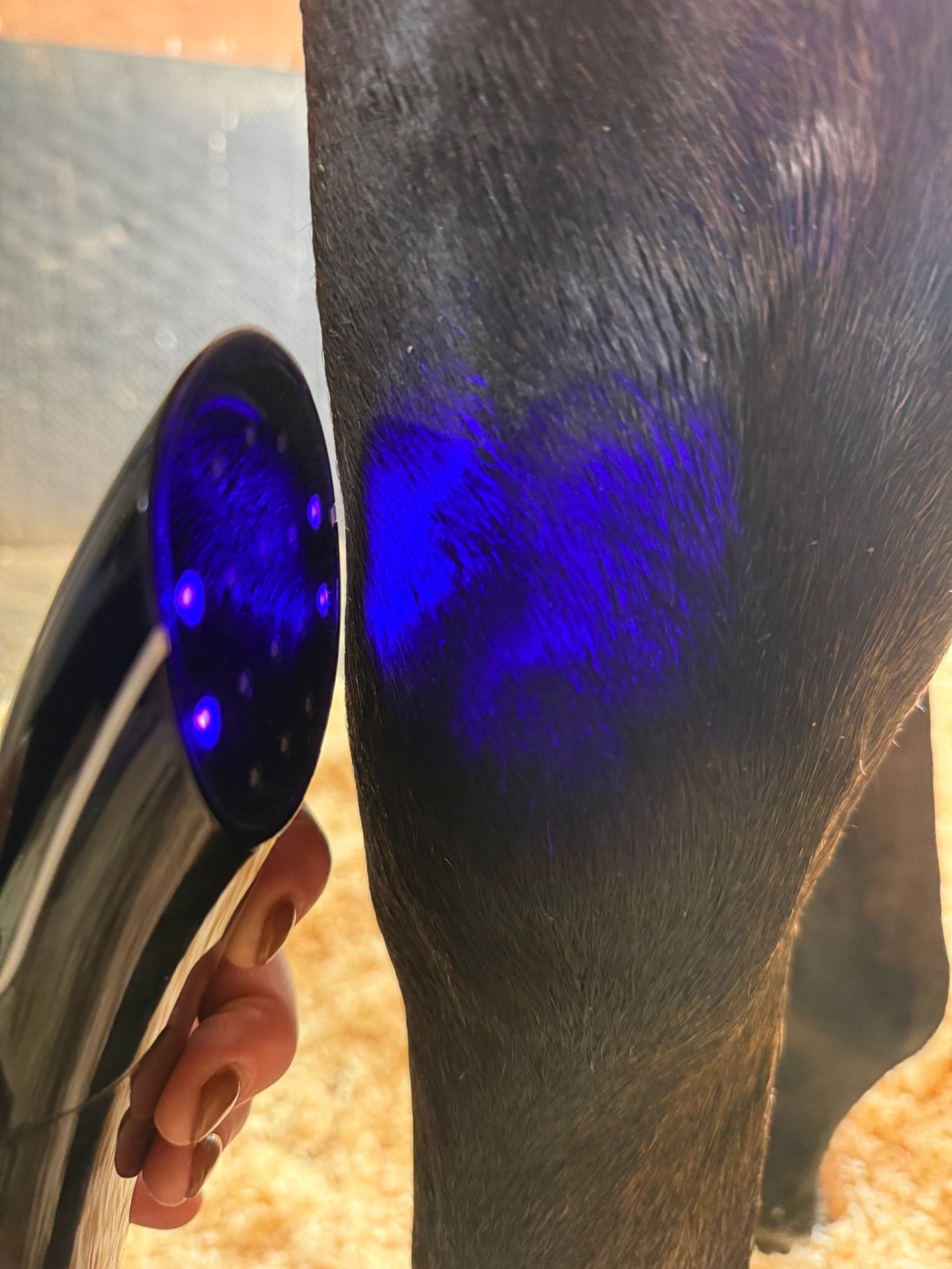 LED Light Blue, Red and Near Infared Light Therapy Device