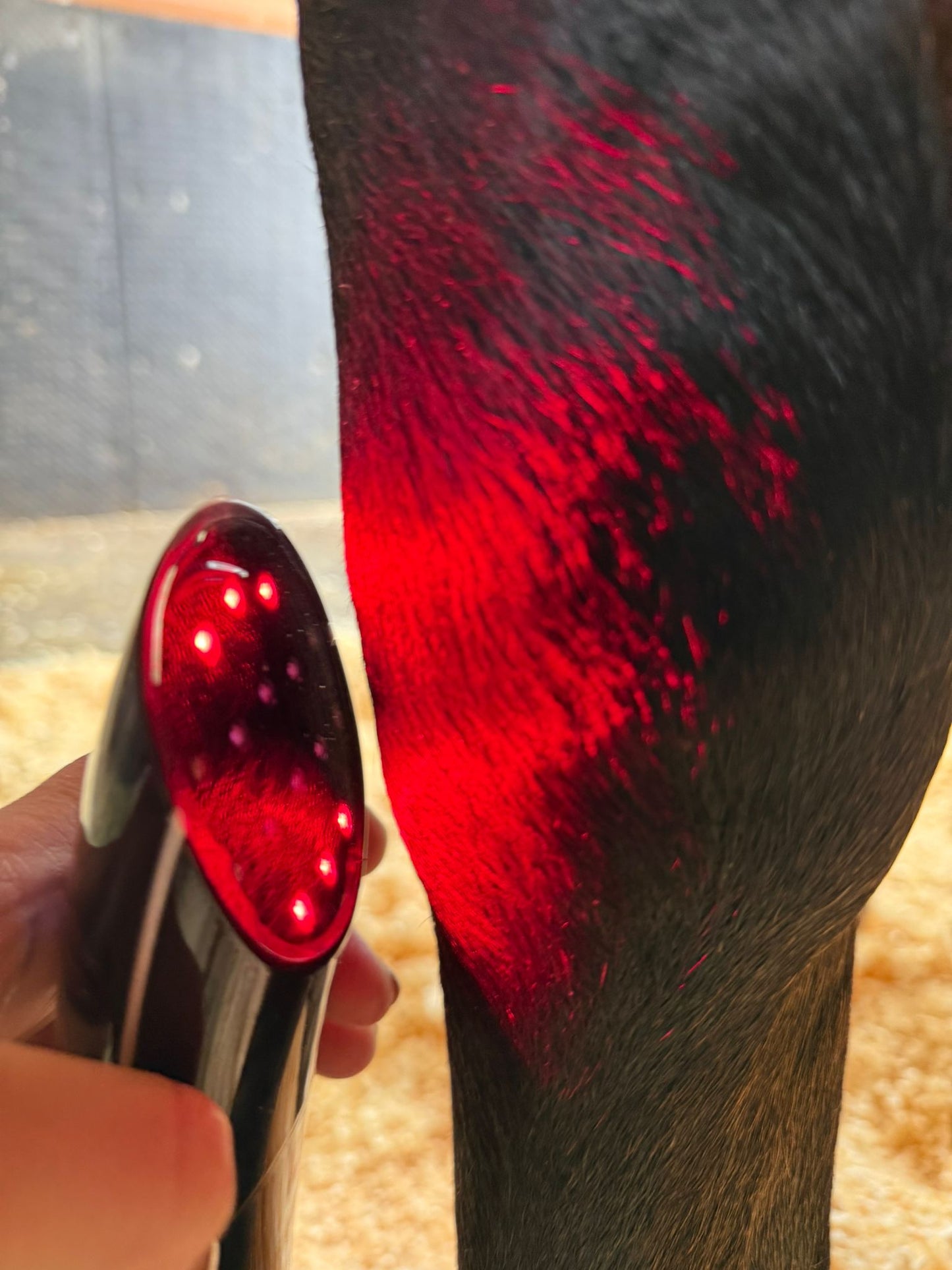 LED Light Blue, Red and Near Infared Light Therapy Device