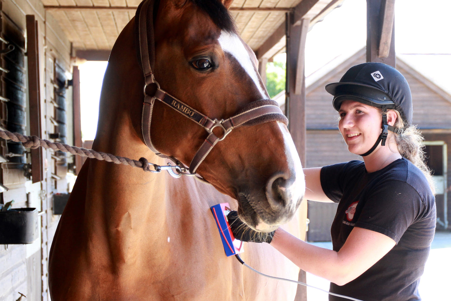 LOVE YOUR HORSE EQUINE SPA AND PAMPER DAY