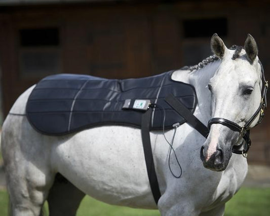 Oxford Medical PEMF Blanket for Back and Sacroiliac
