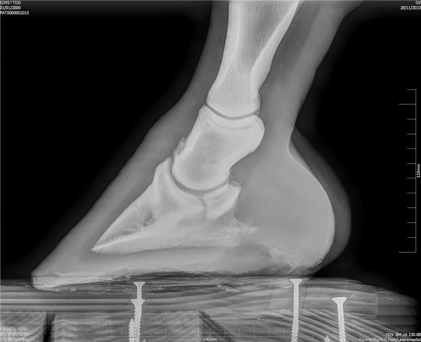 AN INTRODUCTION TO IMAGING TECHNIQUES WORKSHOP