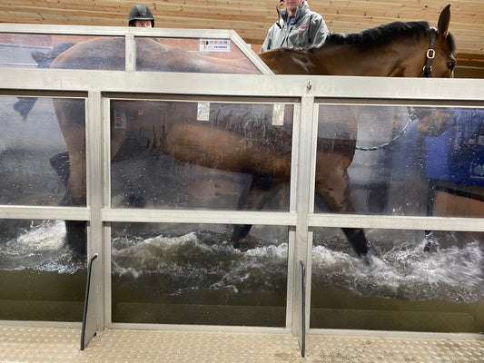 WATER TREADMILL SESSION