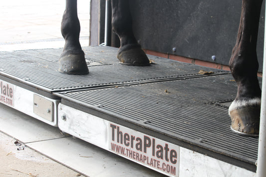 Thera Plate - For prevention and acceleration in the healing of injuries. wave vortex therapy produces involuntary muscle contractions to increase blood flow throughout the body.  Rookery Equine offers rental services on the Thera Plate,. therefore can be used for a number of horses on your yard