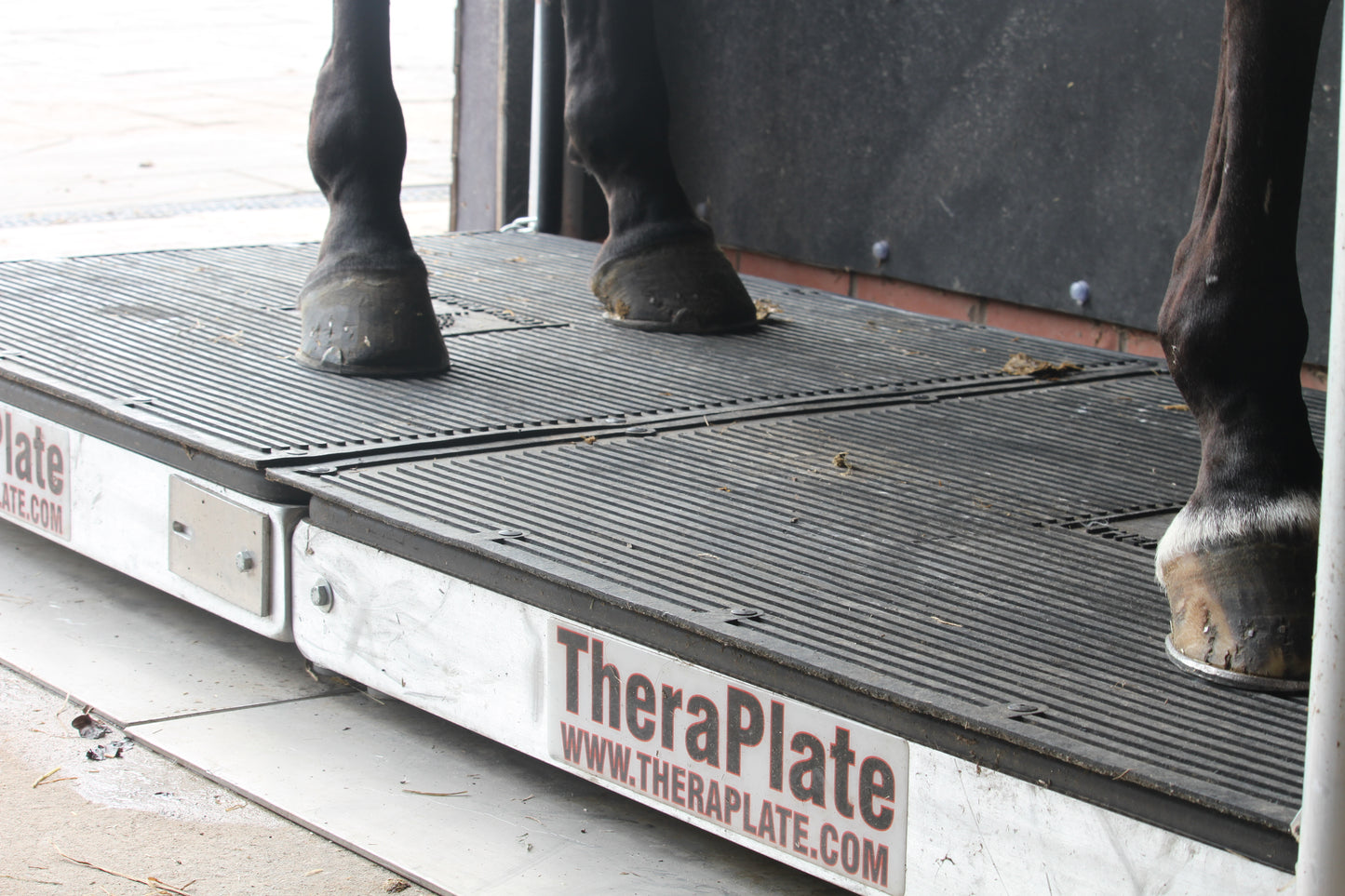 Thera Plate - For prevention and acceleration in the healing of injuries. wave vortex therapy produces involuntary muscle contractions to increase blood flow throughout the body.  Rookery Equine offers rental services on the Thera Plate,. therefore can be used for a number of horses on your yard 