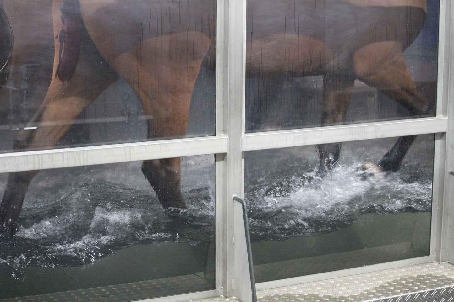 Water Treadmill - a great way to improve your horses fitness without the concussion on their lower limbs. Also good for horses on rehabilitation being slowly brought back into work 