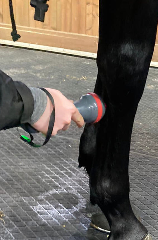 CLASS IV MEDICAL GRADE LASER THERAPY SESSION - ROOKERY EQUINE LTD