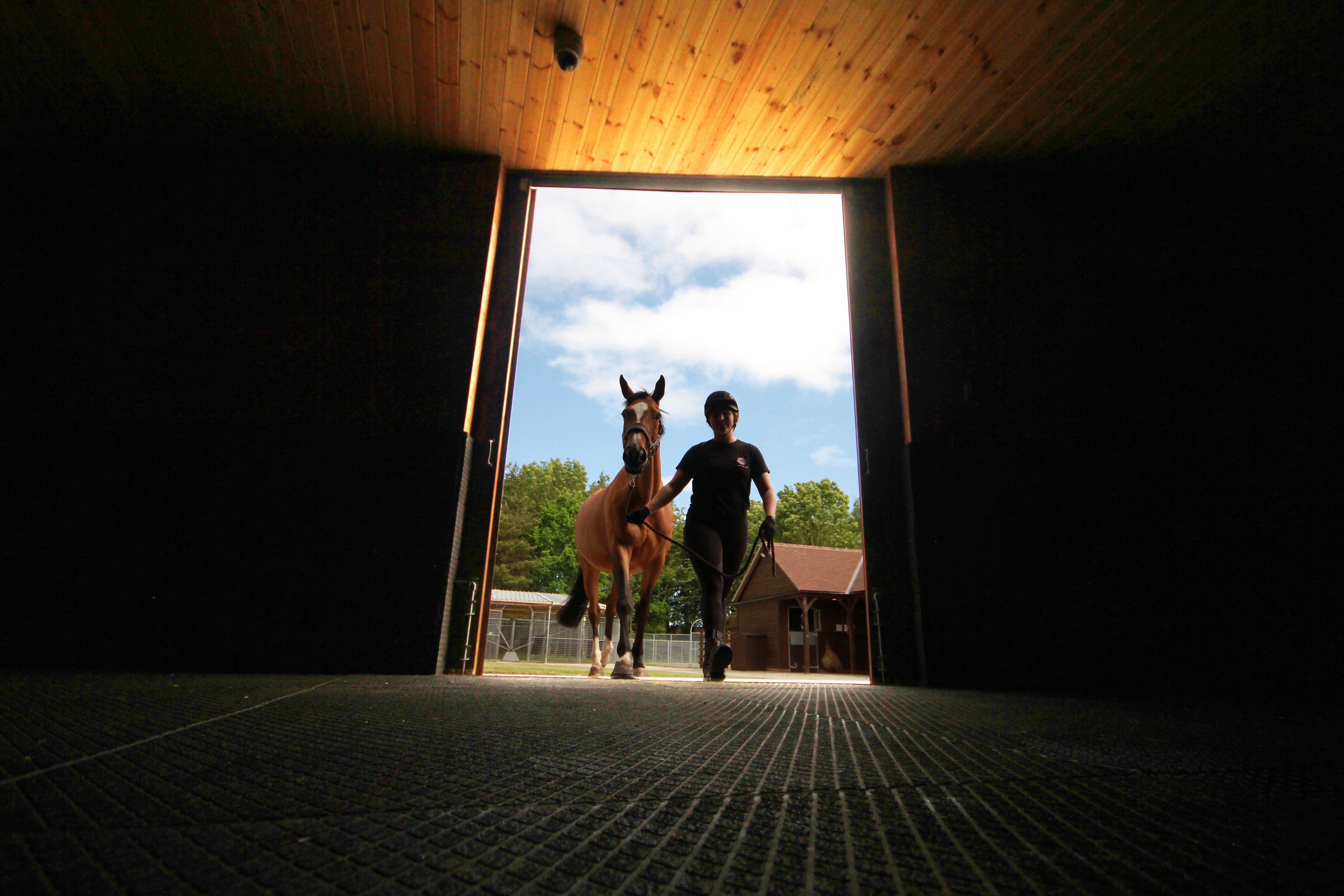 FITNESS, REHABILITATION & HOLIDAY LIVERY - ROOKERY EQUINE LTD